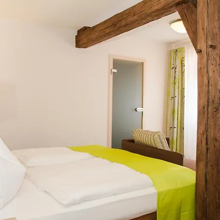 Hotel-gasthof Blaue Traube E.k. ホテル 3*