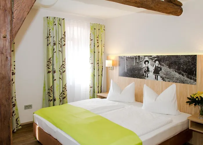 Hotel-gasthof Blaue Traube E.k. ホテル