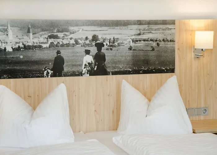 Hotel-gasthof Blaue Traube E.k. ホテル