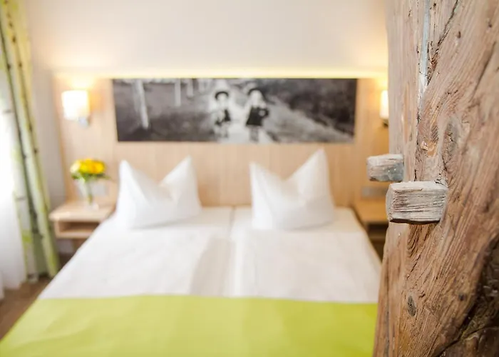 Hotel-gasthof Blaue Traube E.k. 3* Berching