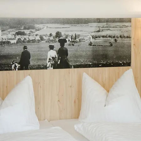 Hotel-gasthof Blaue Traube E.k. Hotel