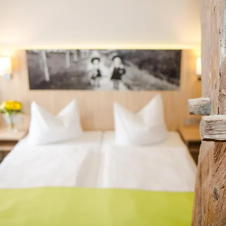 Hotel-gasthof Blaue Traube E.k. 3* 贝兴