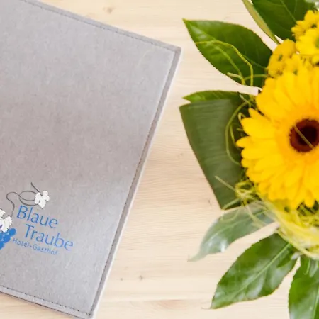 Hotel-gasthof Blaue Traube E.k. 酒店