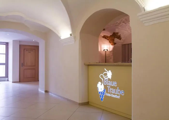 Hotel-gasthof Blaue Traube E.k. 3* Berching